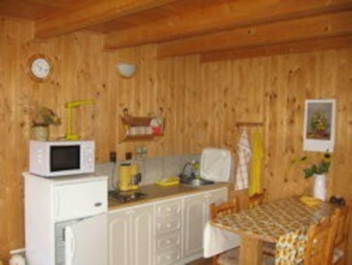 Apartma Stastny III Bechyně エクステリア 写真